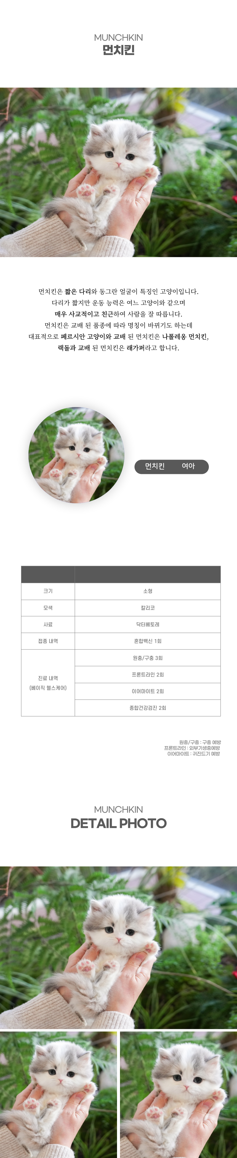 먼치킨_상세이미지_2